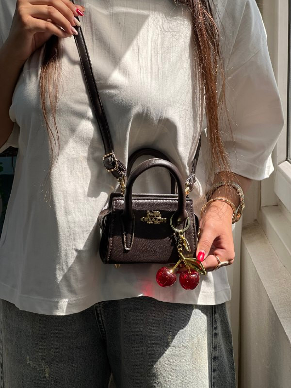 مینی بگ کوچ گیلاسی