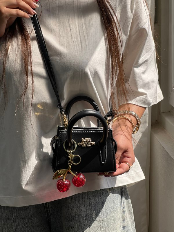 مینی بگ کوچ گیلاسی