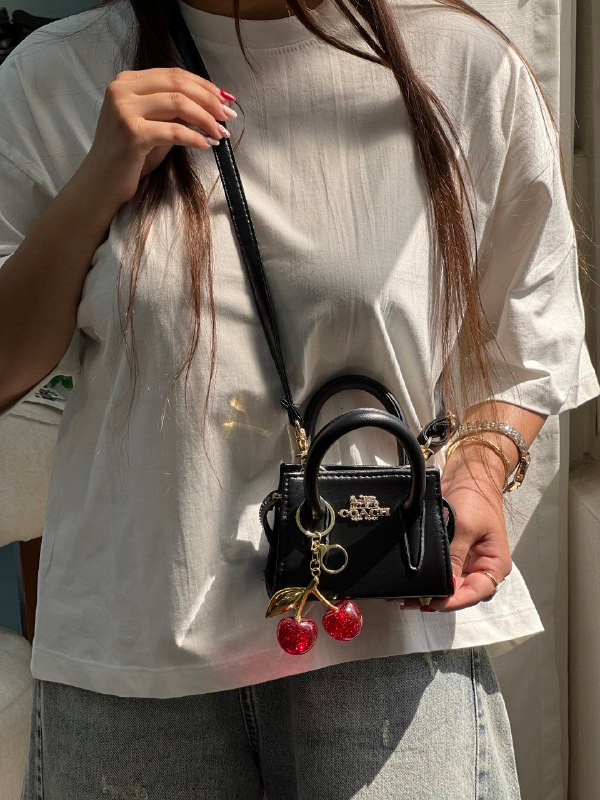 مینی بگ کوچ گیلاسی