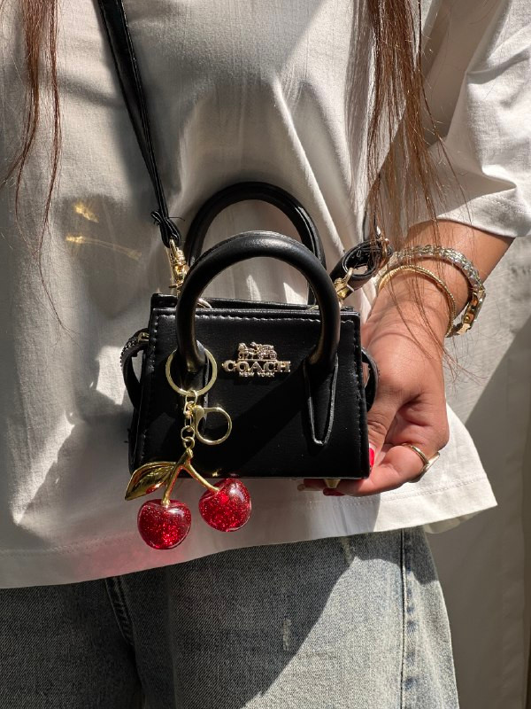 مینی بگ کوچ گیلاسی
