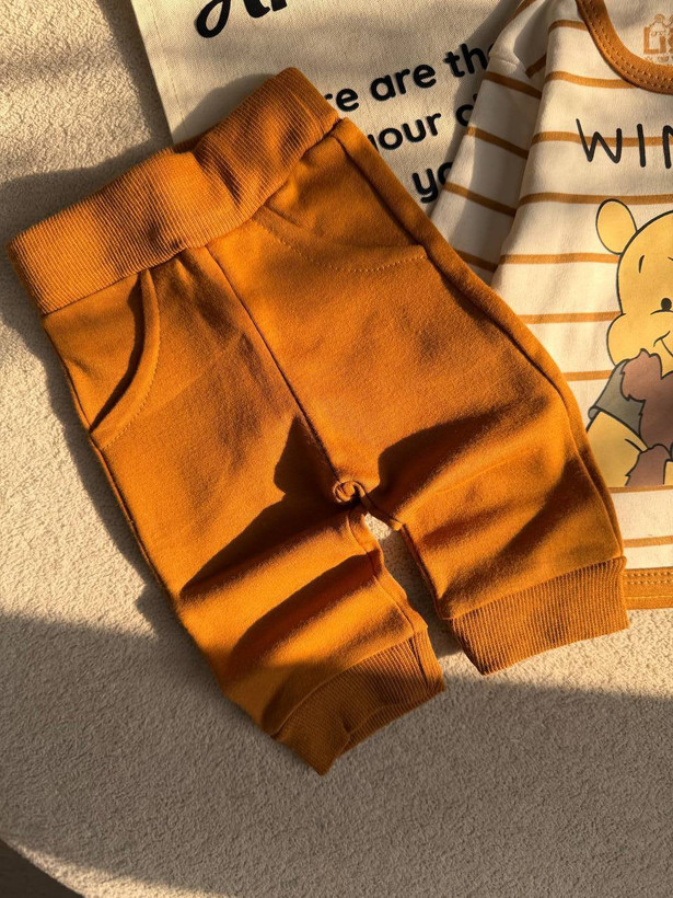 تیکه باز نوزادی طرح WINNIE THE POOH